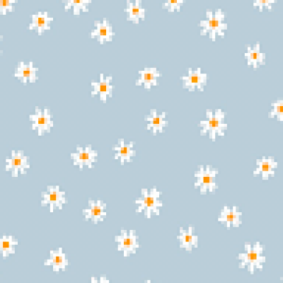 Juliet  zoekt een Kamer in Breda